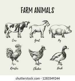 Hand Drawn Sketch Farm Animals Set. Vector Vintage Illustration