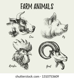 Farm Animal Head Sketch High Res Stock Images Shutterstock
