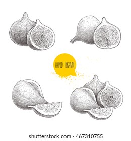 Hand drawn sketch figs set. Vintage style fruit drawing. Eco food vector illustration isolated on white background.