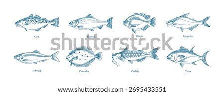 Hand drawn sketch fish animals set. Vector isolated vintage illustration