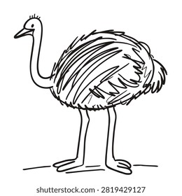 A hand drawn sketch of a flightless bird with long legs and a rounded fluffy body on a white background