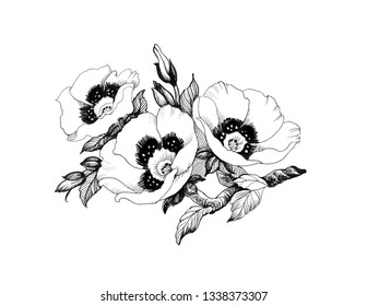 Hand drawn and sketch flower. Black and white with line art vector illustration.