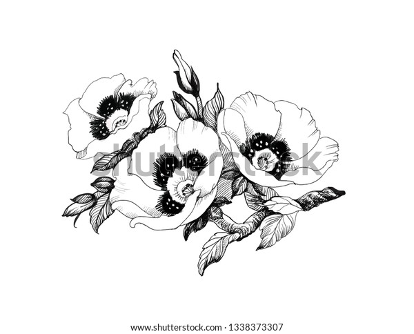手描きの花とスケッチ花 白黒と線とアートベクターイラスト のベクター画像素材 ロイヤリティフリー