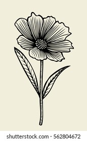 Hand drawn sketch flower. Vector illustration