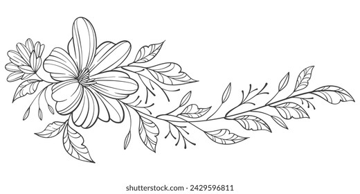 hand drawn sketch of flowers. Sketch Floral Botany Collection. flower drawings. Black and white with line art on white backgrounds. Hand Drawn Botanical Illustrations.Vector.