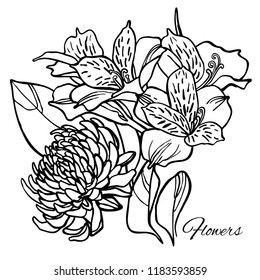 Hand drawn sketch of flowers: lilies and chrysanthemum. Can be used to decorate invitations, postcards, wrapping paper, etc.