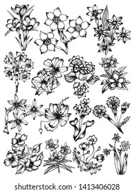 Hand Drawn Sketch Flowers Vector Pack 06