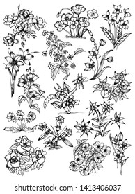 Hand Drawn Sketch Flowers Vector Pack 02