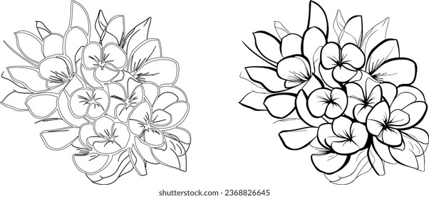 Hand drawn sketch flowers and Vector illustration, Botanical arts. Hand drawn continuous line drawing of abstract flower, floral, rose, tropical leaves, spring