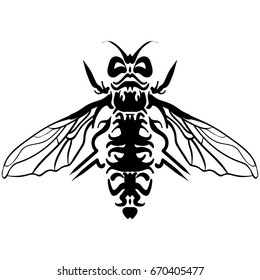 Hand drawn sketch of fly. Doodle line graphic design. Black and white drawing insect. Vector illustration