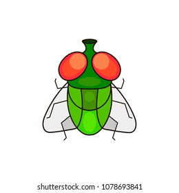Hand drawn sketch of fly. Vector illustration.