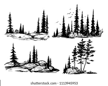 Hand drawn sketch of forest. Silhouettes of trees. Vector illustration