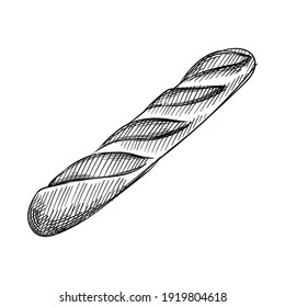 Hand drawn sketch of French Baguette Bread on a white background. Bread. Bakery