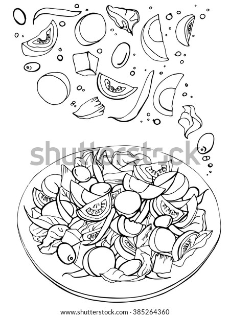 Hand Drawn Sketch Fresh Salad Organic Stock Vector (Royalty Free) 385264360