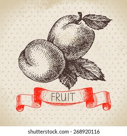 Hand drawn sketch fruit apricot. Eco food background. Vector illustration
