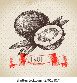 Hand drawn sketch fruit coconut. Eco food background. Vector illustration