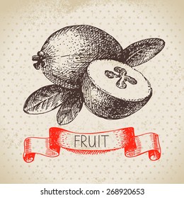 Hand drawn sketch fruit  feijoa. Eco food background. Vector illustration