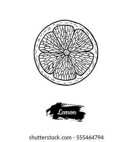 Hand drawn sketch fruit lemon, juicy citrus. Vector vintage illustration. Menu design element.