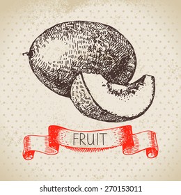 Hand drawn sketch fruit melon. Eco food background. Vector illustration