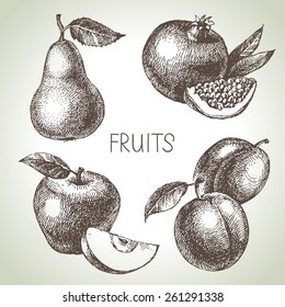 Hand drawn sketch fruit set. Eco foods. Vector illustration	
