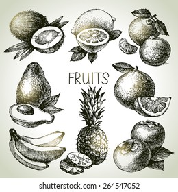 Hand drawn sketch fruit set. Eco foods. Vector illustration