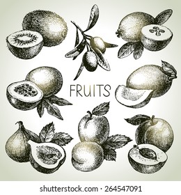 Hand drawn sketch fruit set. Eco foods. Vector illustration