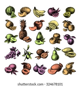Hand drawn sketch fruit set. Eco foods. Vector illustration