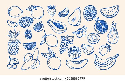 Hand drawn sketch fruits  and berries vector illustration. Natural tropical fruits. Dragon fruit, papaya, pineapple, watermelon, melon, coconut, citrus, grape, lemon, banana, pomegranate, fig, banana,