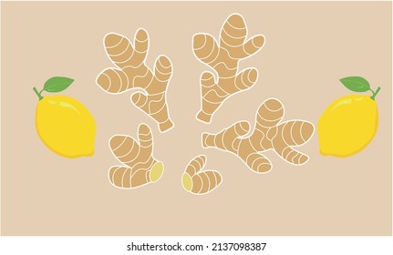 Hand drawn Sketch ginger and lemon. Haddock Ink engraved illustration isolated on a yelow background