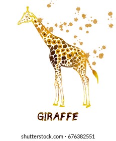 Hand drawn sketch of giraffe. Vector illustration isolated on white background.