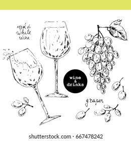 Hand drawn sketch of grapes bunch with leaves, berries and wine glasses. Ink illustration for food background or fruit package label.