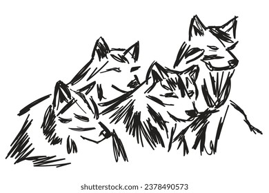 hand drawn sketch of gray wolf pack in forest