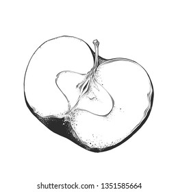 Hand drawn sketch of half apple in black color. Isolated on white background. Drawing for posters, decoration and print. Vector illustration