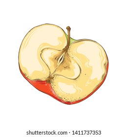 Hand drawn sketch of half apple in color. Isolated on white background. Drawing for posters, decoration and print. Vector illustration