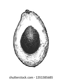 Hand drawn sketch of half avocado in black color. Isolated on white background. Drawing for posters, decoration and print. Vector illustration