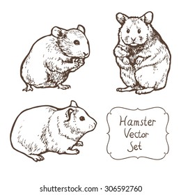 hand drawn sketch hamsters