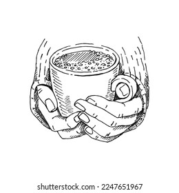 Hand drawn sketch of hands holding a cup of coffee, tea etc. Vector illustration isolated on white background. 