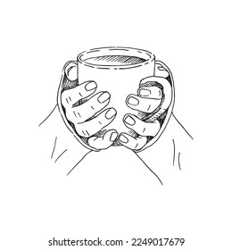 Esbozo dibujado a mano de las manos sosteniendo una taza de café, té, etc. Ilustración vectorial aislada en fondo blanco. 