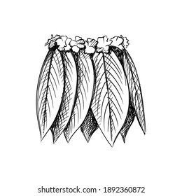 Hand drawn sketch of Hawaiian Party Hula Skirt Maple Leaves Grass Skirt on a white background. Hawaii set. Summer holidays at hawaii. Paradise, island, vacation