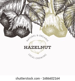 Hand drawn sketch hazelnut design template. Organic food vector illustration on white background. Vintage nut illustration. Engraved style botanical background.