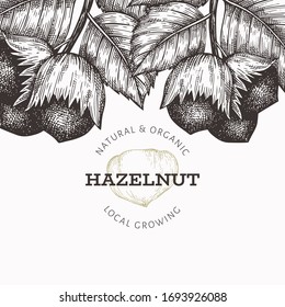 Hand drawn sketch hazelnut design template. Organic food vector illustration on white background. Vintage nut illustration. Engraved style botanical background.