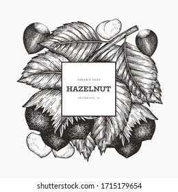 Hand drawn sketch hazelnut design template. Organic food vector illustration on white background. Vintage nut illustration. Engraved style botanical background.