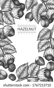 Hand drawn sketch hazelnut design template. Organic food vector illustration on white background. Vintage nut illustration. Engraved style botanical background.