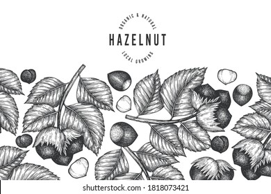 Hand drawn sketch hazelnut design template. Organic food vector illustration on white background. Vintage nut illustration. Engraved style botanical background.