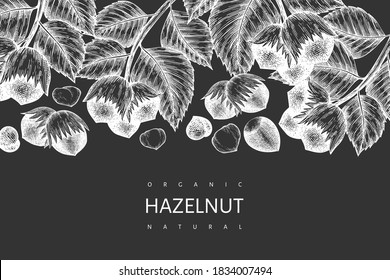 Hand drawn sketch hazelnut design template. Organic food vector illustration on chalk board. Vintage nut illustration. Engraved style botanical background.