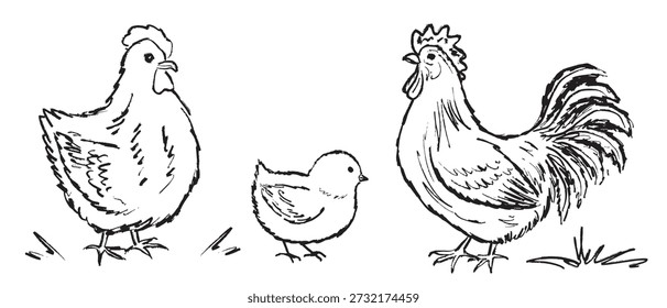 Handgezeichnete Skizze von Henne, Küken und Hahn auf Gras stehen. Geflügelfamilie im rustikalen Stil. Konzept der Nutztiere. Vektorskizze Illustration in Vintage-Buntstil Holzkohle