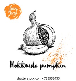 Hand drawn sketch hokkaido pumpkin. Kuri with seeds and slice. Healthy nutrition vector illustration poster. Isolated on white background.