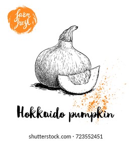 Hand drawn sketch hokkaido pumpkin. Kuri with seeds and slice. Autumn fruit. Seasonal symbol. Healthy nutrition vector illustration poster. Isolated on white background.