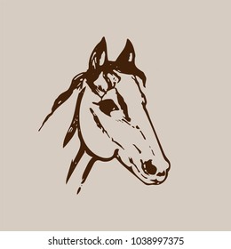 Hand drawn sketch of horse head. Brown ink line drawing isolated on beige background. Mustang portrait. Vector animal illustration.