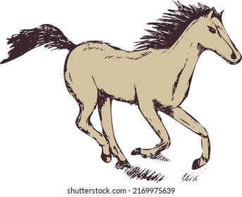 Hand drawn, sketch horse, outlines, vintage horse logo